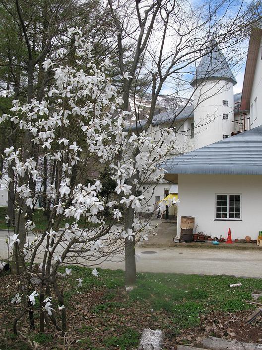 Grindelwald Hotel Yuzawa  Exterior photo